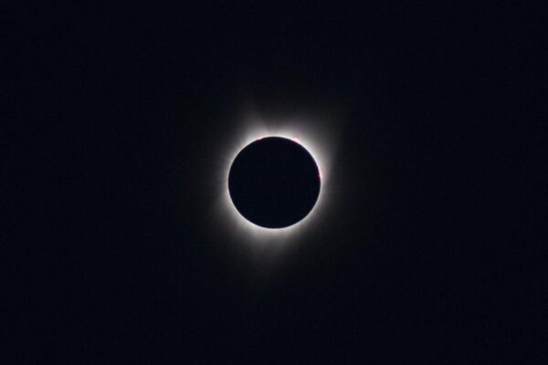 2024 eclipse | www.iamafoodblog.com