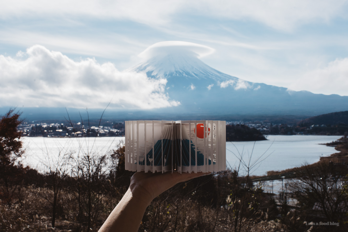 japan travel guide - hoshinoya fuji - www.iamafoodblog.com
