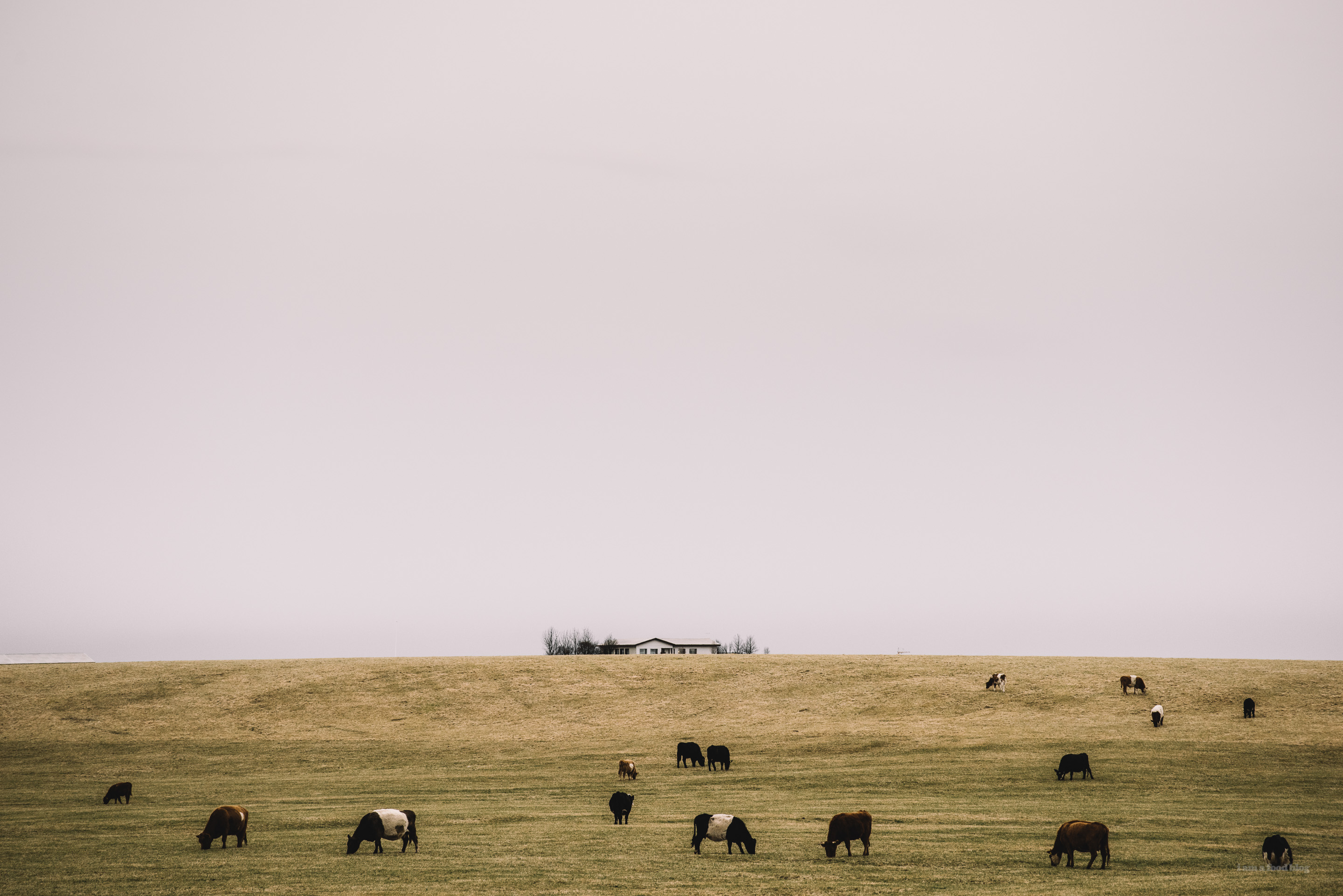 iceland - www.iamafoodblog.com