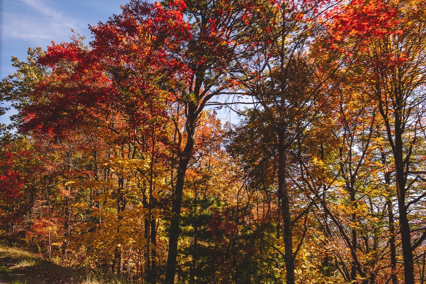 east coast leaf peeping | www.iamafoodblog.com