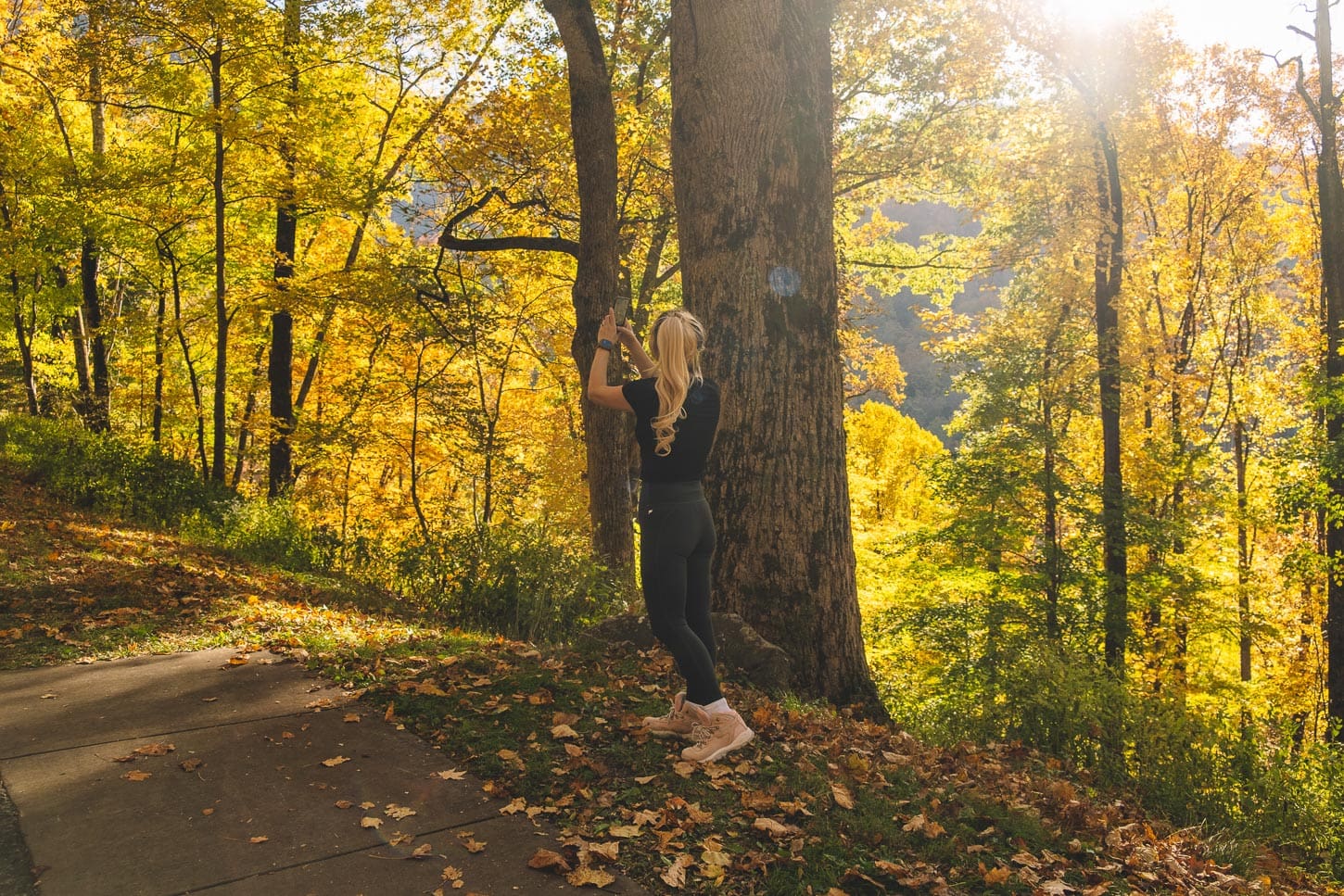 east coast leaf peeping | www.iamafoodblog.com