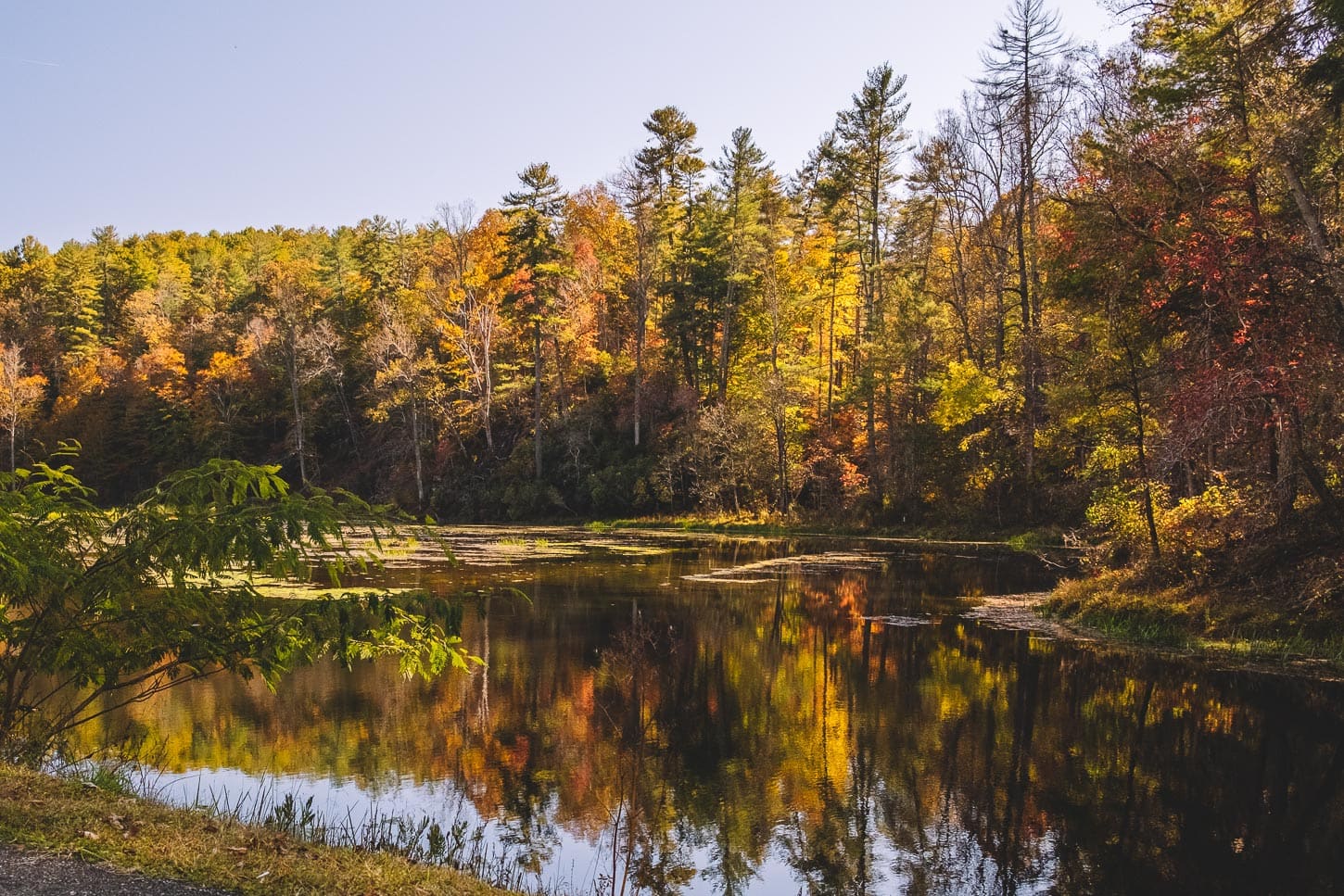 east coast leaf peeping | www.iamafoodblog.com