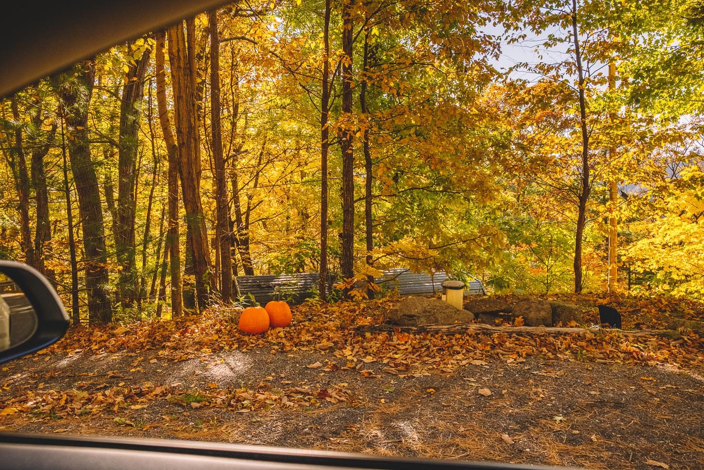 leaf peeping guide to the east coast | www.iamafoodblog.com
