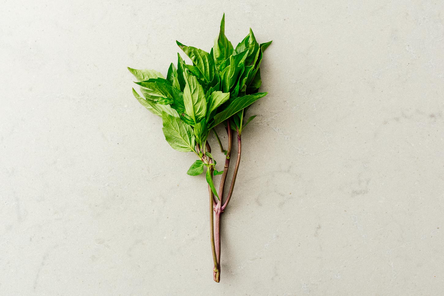 thai basil | www.iamafoodblog.com