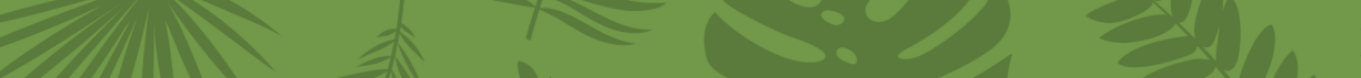 divider green