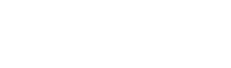 Palm Coast logo